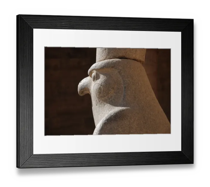 Framed Print : Falcon statue, Temple of Horus, Edfu, Egypt, january Framed Print : Falcon statue, Temple of Horus, Edfu, Egypt, january