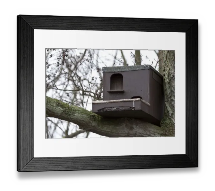 Framed Print : Bird nesting box suitable for Barn Owl or kestrel