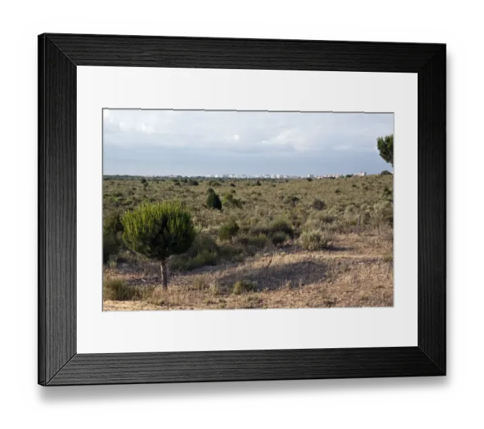 Framed Print : Looking over the Coto Donana National park to the encroaching holiday resort of Matalascanas Framed Print : Looking over the Coto Donana National park to the encroaching holiday resort of Matalascanas