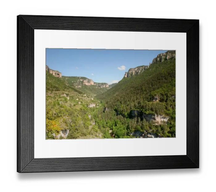 Framed Print : View of forested river canyon habitat, Gorges du Tarn, Tarn River, Lozere, Languedoc-Roussillon, France, may Framed Print : View of forested river canyon habitat, Gorges du Tarn, Tarn River, Lozere, Languedoc-Roussillon, France, may