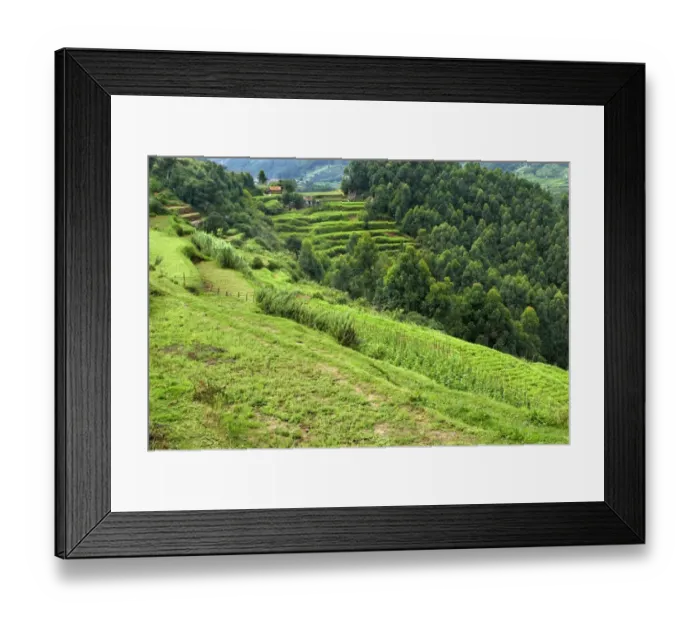 Framed Print : View of terraced cultivation and woodland on hillside, Vattavada, Western Ghats, Kerala, India