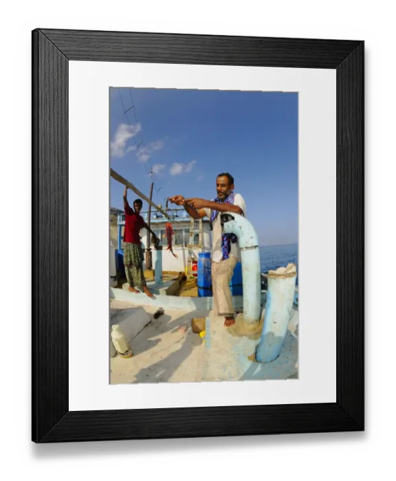 Framed Print : Local fishermen with catch on boat at sea, Socotra, Yemen, march Framed Print : Local fishermen with catch on boat at sea, Socotra, Yemen, march