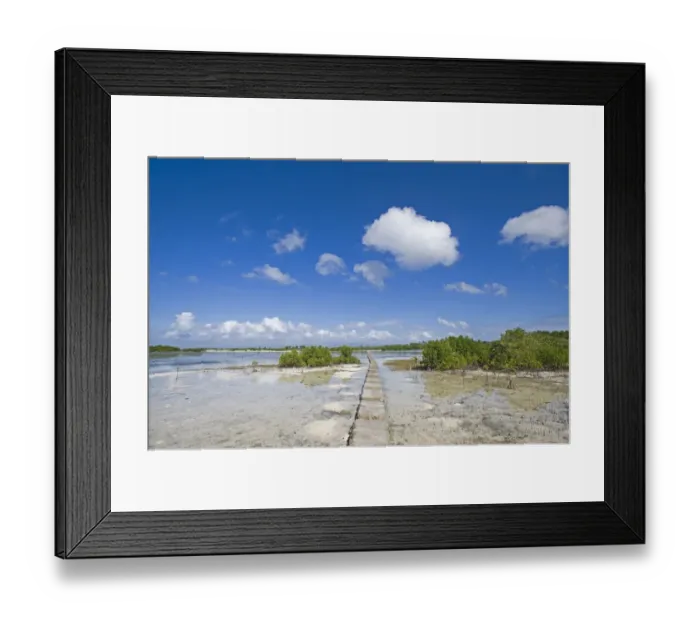 Framed Print : Causeway through coastal mangrove swamp habitat, Olango Island Wlidlife Sanctuary, Lapu-Lapu, Cebu Island, Philippines Framed Print : Causeway through coastal mangrove swamp habitat, Olango Island Wlidlife Sanctuary, Lapu-Lapu, Cebu Island, Philippines