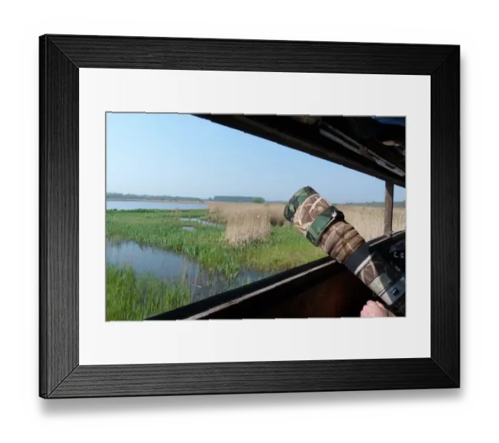 Framed Print : Looking out from Island mere hide at RSPB Minsmere Suffolk, a great place to photograph wildlife Framed Print : Looking out from Island mere hide at RSPB Minsmere Suffolk, a great place to photograph wildlife