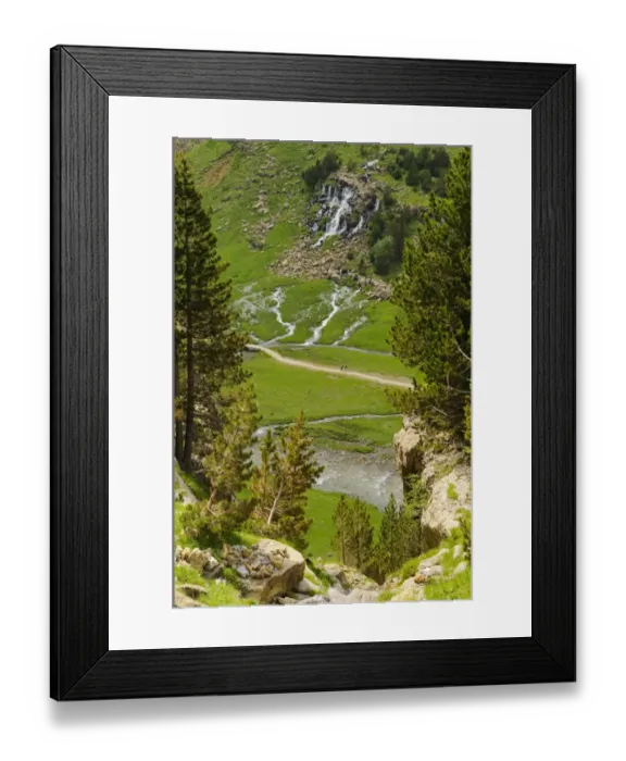 Framed Print : View of mountain valley habitat, with Black Pine (Pinus nigra) forest and river cascades, Ordesa y Monte Perdido N. P Framed Print : View of mountain valley habitat, with Black Pine (Pinus nigra) forest and river cascades, Ordesa y Monte Perdido N. P