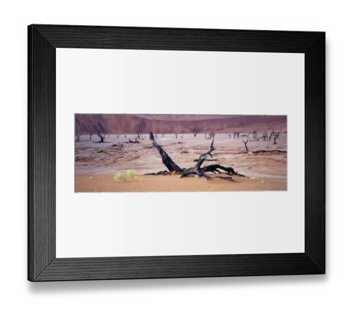 Framed Print : Namibia Skeletons of dead Acacia trees lay in the pan of Dead Vlei, Namibia Framed Print : Namibia Skeletons of dead Acacia trees lay in the pan of Dead Vlei, Namibia