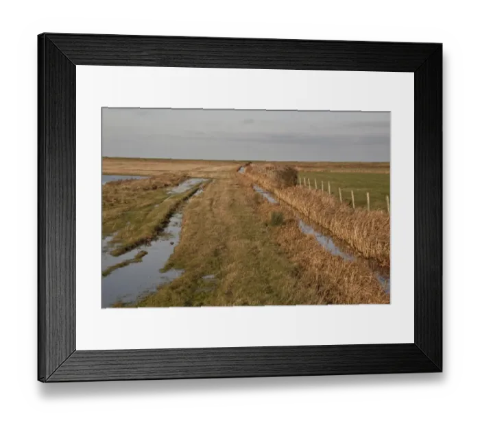 Framed Print : Dyke at Deepdale Marsh at Burnham Norton, Brancaster North Norfolk - Marsh land habitat used by winter wildfowl flocks Framed Print : Dyke at Deepdale Marsh at Burnham Norton, Brancaster North Norfolk - Marsh land habitat used by winter wildfowl flocks