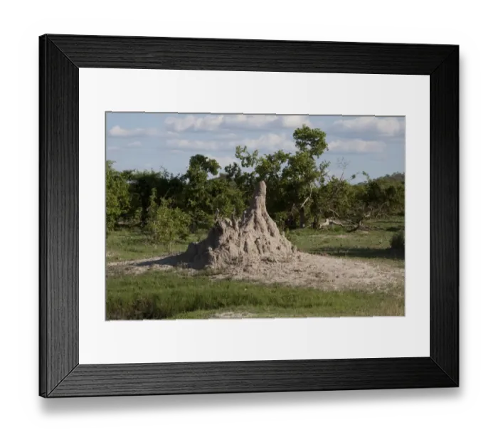 Framed Print : Termite mound Botswana near Savuti Framed Print : Termite mound Botswana near Savuti