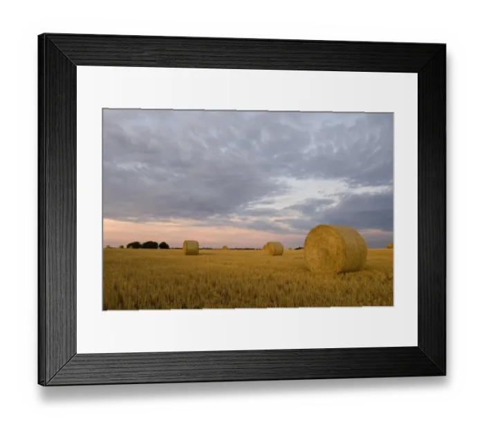 Framed Print : Big round straw bales in stubble field at sunset, North Norfolk, England, summer