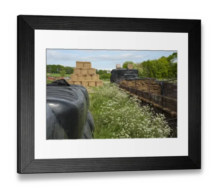 Framed Print : Black plastic wrapped silage bales, silage clamp and straw bales, Yorkshire, England, may Framed Print : Black plastic wrapped silage bales, silage clamp and straw bales, Yorkshire, England, may
