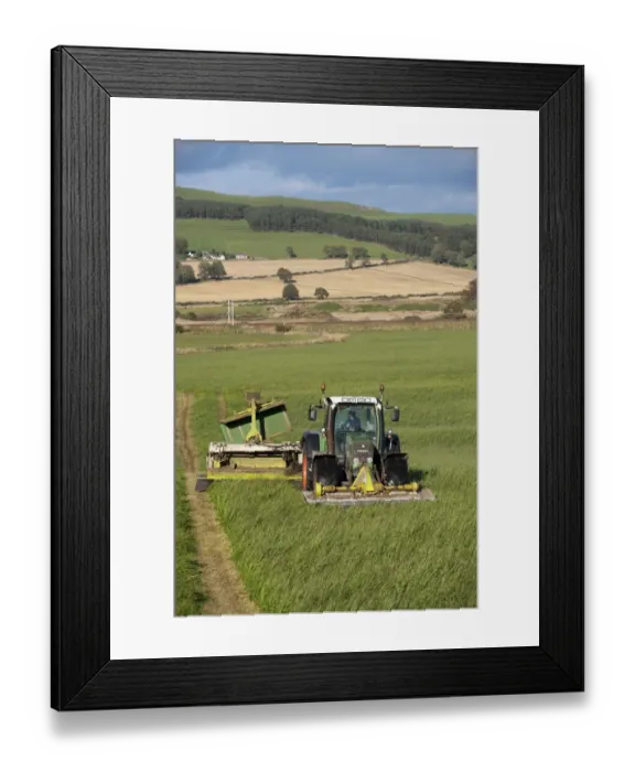 Framed Print : Mowing second cut grass with front and rear mounted mower conditioners on Fendt tractor, Cumbria, England, september Framed Print : Mowing second cut grass with front and rear mounted mower conditioners on Fendt tractor, Cumbria, England, september