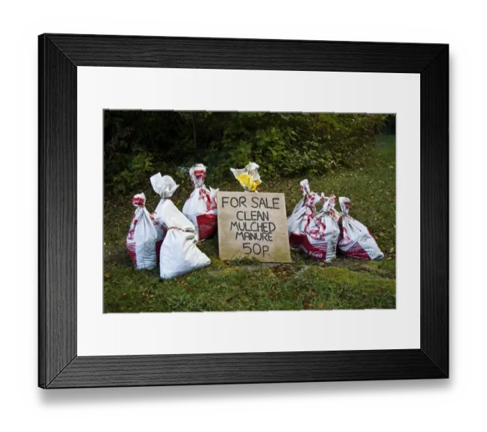 Framed Print : For Sale, clean mulched manure sign, with filled bags, Lulworth, Dorset, England, october Framed Print : For Sale, clean mulched manure sign, with filled bags, Lulworth, Dorset, England, october