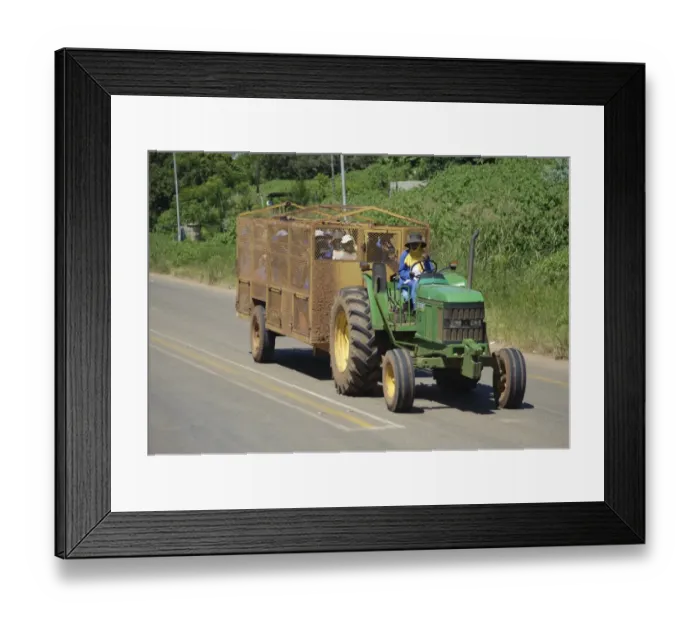 Framed Print : Tractor transporting farm workers in trailer, Swaziland Framed Print : Tractor transporting farm workers in trailer, Swaziland