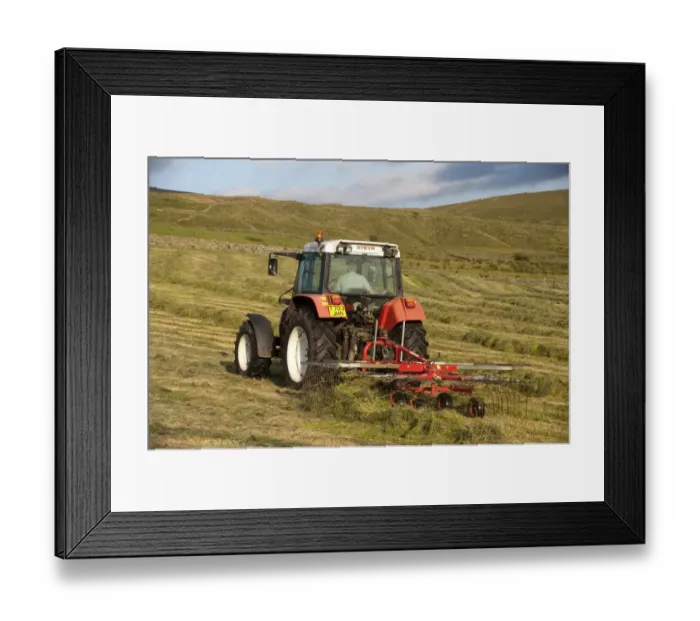 Framed Print : Styer 9078 tractor rowing up grass on hill farm to make big bale silage, England, july Framed Print : Styer 9078 tractor rowing up grass on hill farm to make big bale silage, England, july