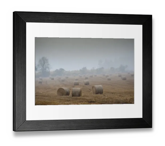 Framed Print : Round straw bales in stubble field during rainy and misty day, Perth, Perthshire, Scotland, november Framed Print : Round straw bales in stubble field during rainy and misty day, Perth, Perthshire, Scotland, november