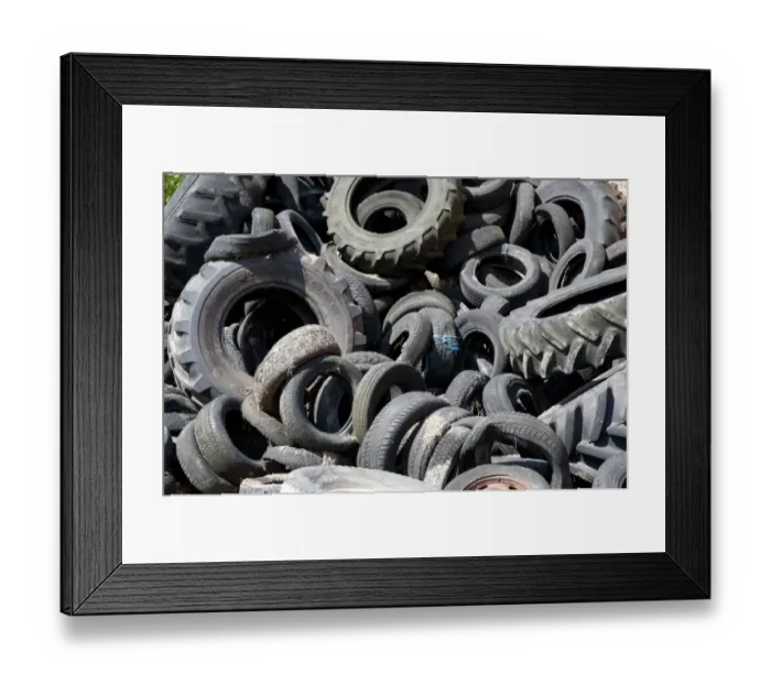 Framed Print : Rubber tyres used to hold sheeting down on silage clamp, England, june Framed Print : Rubber tyres used to hold sheeting down on silage clamp, England, june