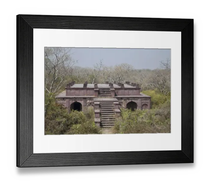 Framed Print : Historic fortress in forest habitat, Ranthambore N. P. Rajasthan, India Framed Print : Historic fortress in forest habitat, Ranthambore N. P. Rajasthan, India