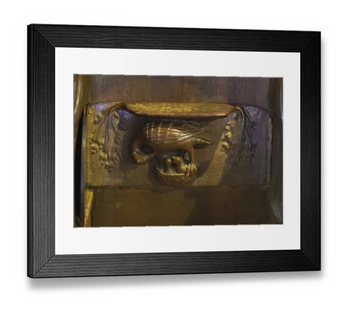 Framed Print : Misericord depicting pelican in her piety, in Medieval Europe pelicans were often depicted giving blood to young as Framed Print : Misericord depicting pelican in her piety, in Medieval Europe pelicans were often depicted giving blood to young as