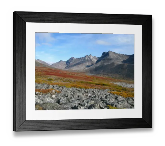 Framed Print : View of mountain habitat, Seward Peninsula, near Nome, Alaska, U. S. A. september Framed Print : View of mountain habitat, Seward Peninsula, near Nome, Alaska, U. S. A. september