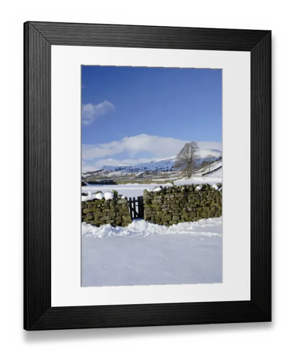 Framed Print : Drystone wall and gate in snow covered valley bottom, Gunnerside, Swaledale, Yorkshire Dales N. P