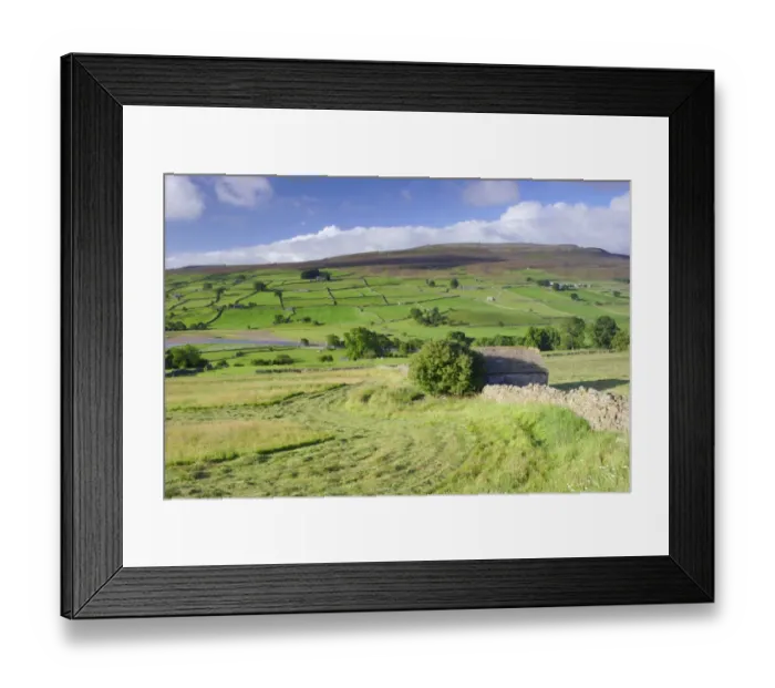 Framed Print : Cut grass in meadow and stone barn near river, drystone walls on hillside, River Swale, Reeth, Swaledale Framed Print : Cut grass in meadow and stone barn near river, drystone walls on hillside, River Swale, Reeth, Swaledale