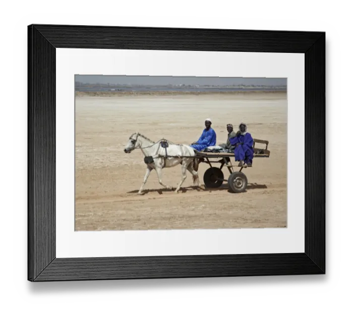 Framed Print : Senegalese men riding charette horse pulled taxi, Kaolack, Senegal, january Framed Print : Senegalese men riding charette horse pulled taxi, Kaolack, Senegal, january