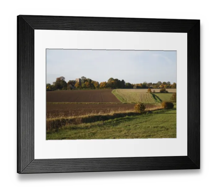 Framed Print : View of arable farmland with cultivated and fallow fields, church amongst trees in distance, St Framed Print : View of arable farmland with cultivated and fallow fields, church amongst trees in distance, St