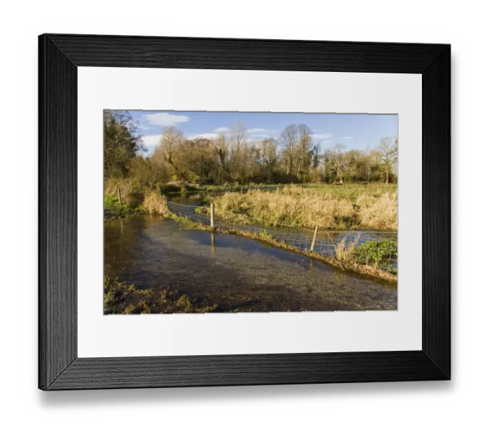 Framed Print : Chalk river flowing beside pasture, with cattle drinking area fenced off, River Piddle, Dorset, England, november Framed Print : Chalk river flowing beside pasture, with cattle drinking area fenced off, River Piddle, Dorset, England, november