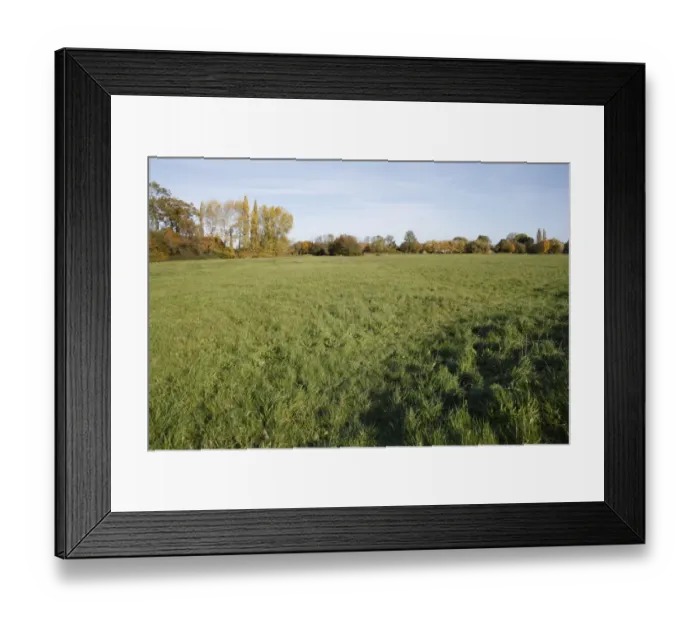 Framed Print : View of commonland reserve, The Carnser, Mellis Common, Mellis, Suffolk, England, october Framed Print : View of commonland reserve, The Carnser, Mellis Common, Mellis, Suffolk, England, october
