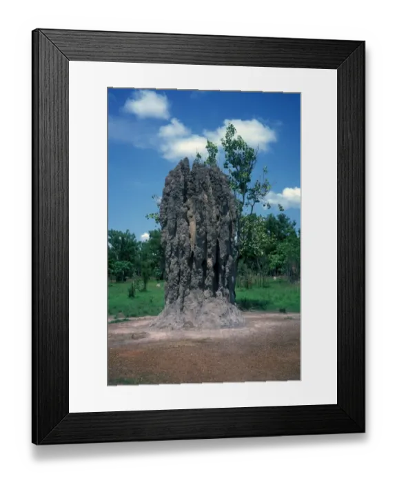 Framed Print : Australia - Termite Tower showing fin like construction which helps cool nest area, Kakadu NP Framed Print : Australia - Termite Tower showing fin like construction which helps cool nest area, Kakadu NP