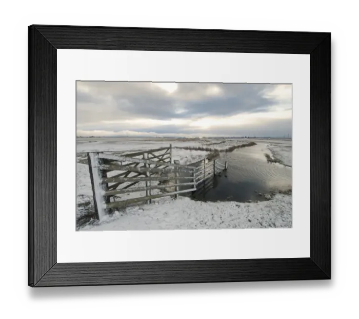 Framed Print : Cattle fence and grazing marsh habitat in snow, Elmley Marshes N. N. R. North Kent Marshes, Isle of Sheppey, Kent