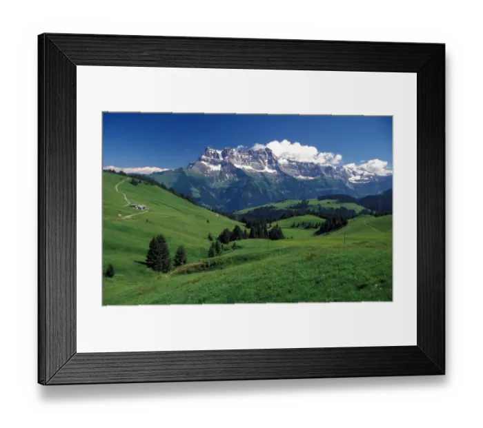 Framed Print : France Alpine Meadow views towards Dents De Midi, France Framed Print : France Alpine Meadow views towards Dents De Midi, France