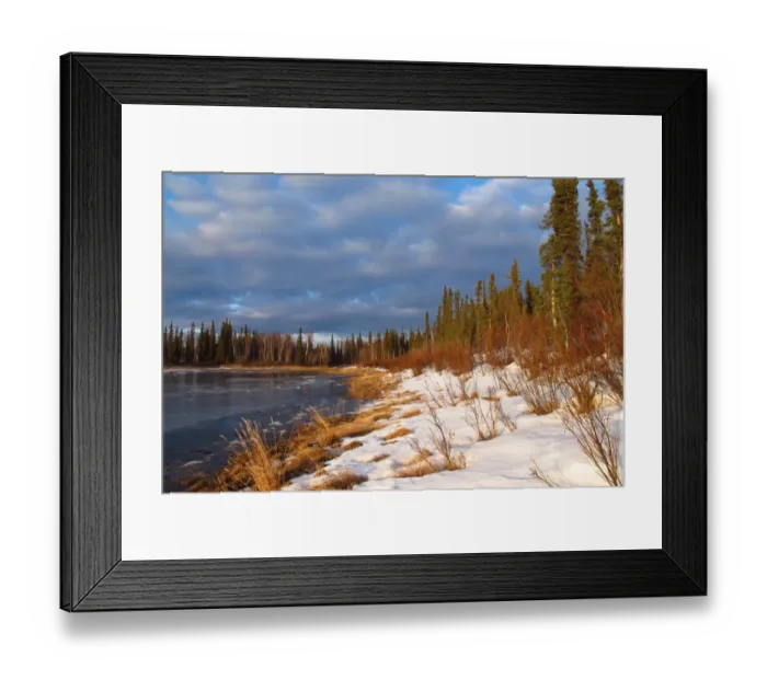 Framed Print : View of snow covered boreal forest habitat at edge of river in early spring, Kanuti National Wildlife Refuge Framed Print : View of snow covered boreal forest habitat at edge of river in early spring, Kanuti National Wildlife Refuge