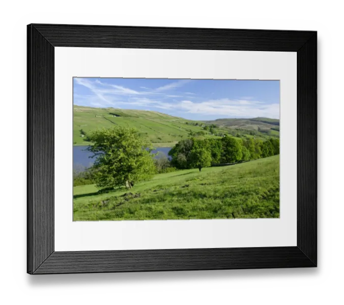 Framed Print : View of trees, lake and hills, Semerwater, Wensleydale, Yorkshire Dales N. P. North Yorkshire, England, april Framed Print : View of trees, lake and hills, Semerwater, Wensleydale, Yorkshire Dales N. P. North Yorkshire, England, april