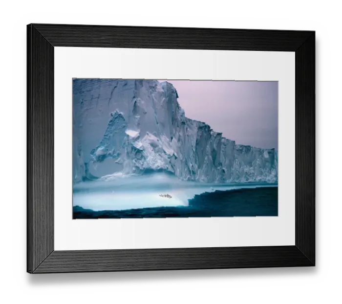 Framed Print : Icebergs Vast iceberg cliffs / group of penguin below Framed Print : Icebergs Vast iceberg cliffs / group of penguin below