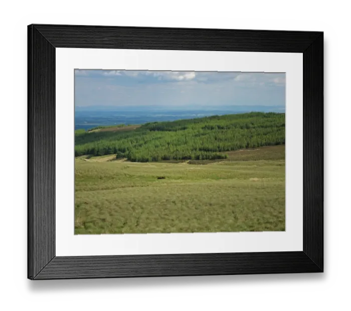 Framed Print : View of moorland and conifer plantation, Kelburn, North Ayrshire, Scotland, june