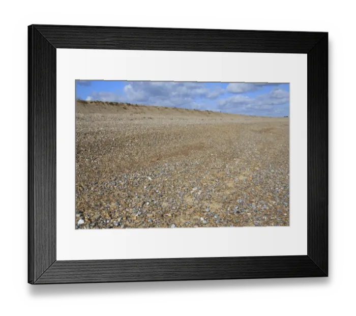Framed Print : Shingle beach habitat with relict storm beach ridge, The Haven, Thorpeness, Suffolk, England, february Framed Print : Shingle beach habitat with relict storm beach ridge, The Haven, Thorpeness, Suffolk, England, february