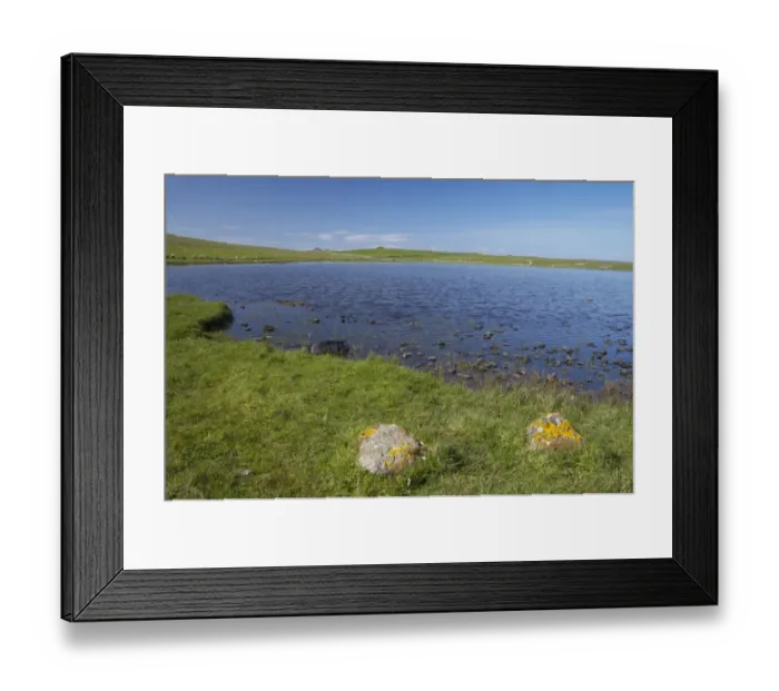 Framed Print : View of freshwater loch habitat, Loch Funzie, Loch of Funzie RSPB Reserve, Fetlar, Shetland Islands, Scotland Framed Print : View of freshwater loch habitat, Loch Funzie, Loch of Funzie RSPB Reserve, Fetlar, Shetland Islands, Scotland