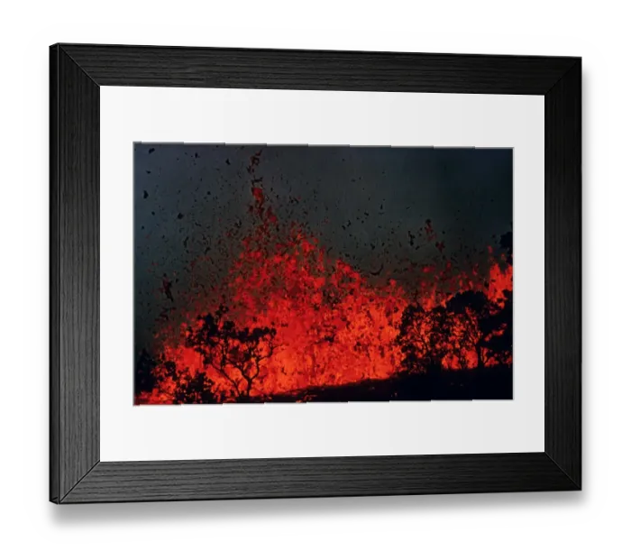 Framed Print : Volcanic eruption, tree silhouetted by molten lava erupting, Mauna Ulu, Big Island, Hawaii (1969 - 1974) Framed Print : Volcanic eruption, tree silhouetted by molten lava erupting, Mauna Ulu, Big Island, Hawaii (1969 - 1974)