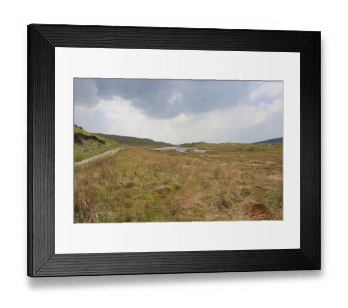 Framed Print : View of upland peat bog habitat, Llyn Pen-cor-maen, Ceredigion, Wales, june Framed Print : View of upland peat bog habitat, Llyn Pen-cor-maen, Ceredigion, Wales, june