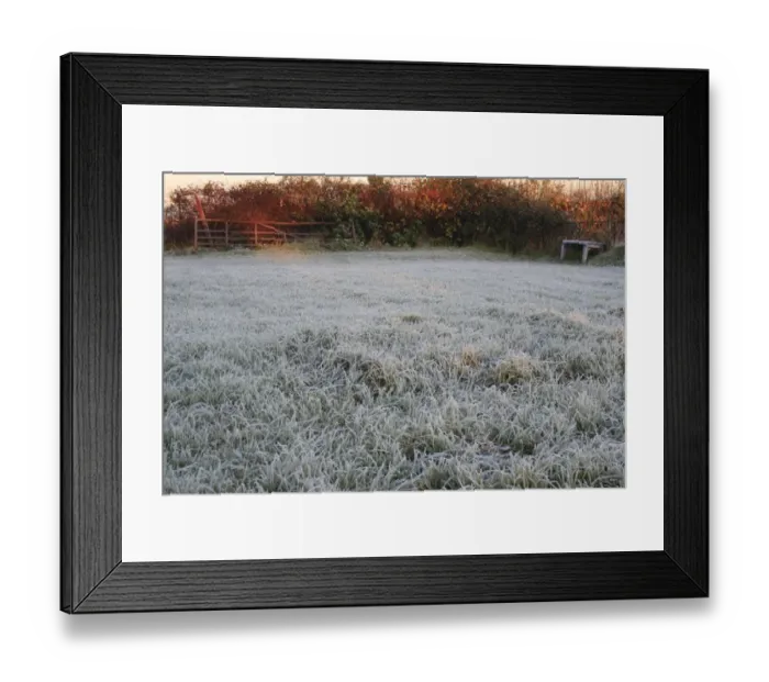 Framed Print : Frost covered garden lawn at sunrise, Suffolk, England, november