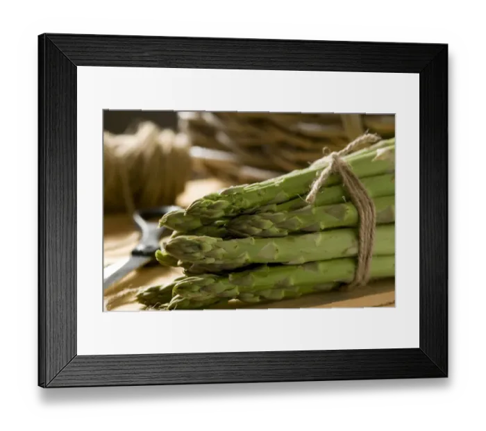 Framed Print : Asparagus (Asparagus officinalis) bundle of cut spears Framed Print : Asparagus (Asparagus officinalis) bundle of cut spears