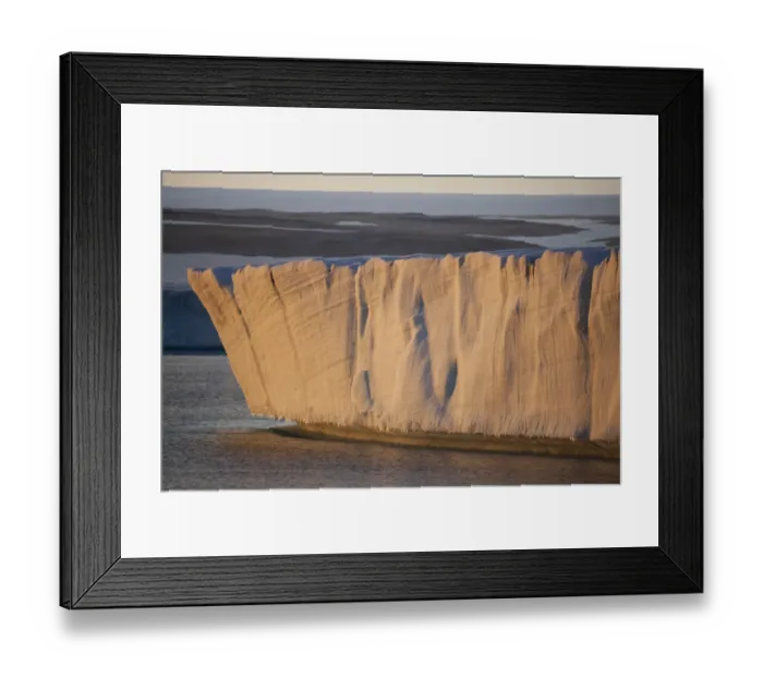 Framed Print : View of coastal glacier terminus at sunset, Brasvellbreen Glacier, Nordaustlandet, Svalbard, august Framed Print : View of coastal glacier terminus at sunset, Brasvellbreen Glacier, Nordaustlandet, Svalbard, august