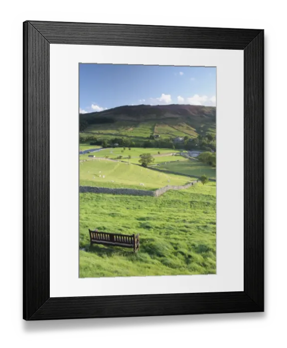 Framed Print : View of bench, drystone walls and sheep grazing in pasture of valley, Burnsall, Wharfedale, Yorkshire Dales N. P Framed Print : View of bench, drystone walls and sheep grazing in pasture of valley, Burnsall, Wharfedale, Yorkshire Dales N. P