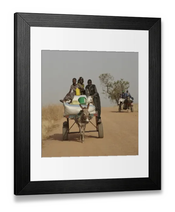 Framed Print : Senegalese children riding donkey pulled cart along road to nearby market, near Toubacouta, Senegal, january Framed Print : Senegalese children riding donkey pulled cart along road to nearby market, near Toubacouta, Senegal, january