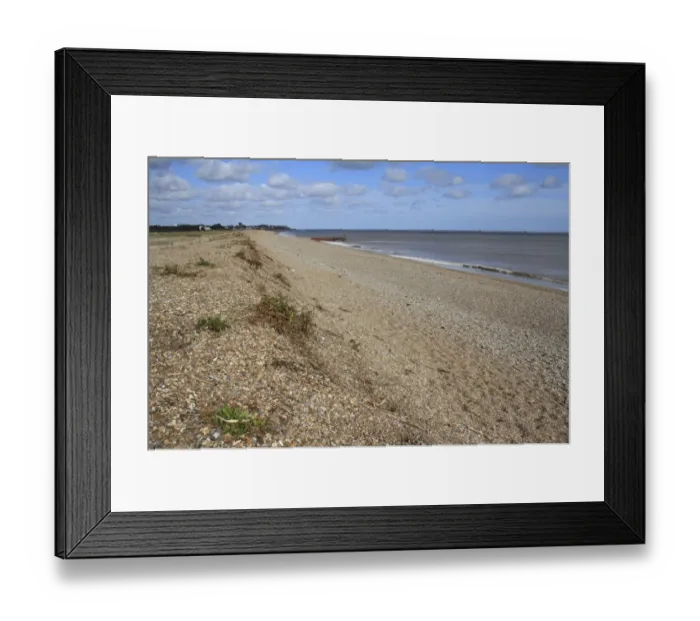 Framed Print : Coastal vegetated shingle, relict storm beach ridge and beach habitat, The Haven, Thorpeness, Suffolk, England