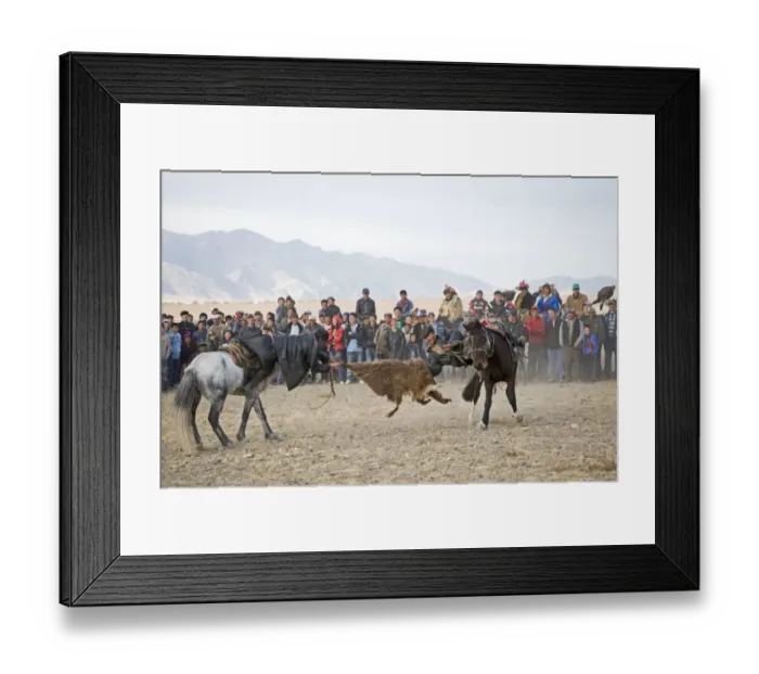 Framed Print : Kazakh riders in tug-of-war with goat skin during Kurbar game, Eagle Hunters Festival, Bayan-Ulgii, Western Mongolia Framed Print : Kazakh riders in tug-of-war with goat skin during Kurbar game, Eagle Hunters Festival, Bayan-Ulgii, Western Mongolia