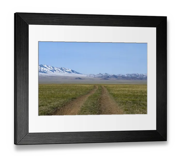 Framed Print : View of dirt road over steppe grassland habitat, Altai Mountains in distance, Gobi N. P. Gobi Desert, Mongolia, october