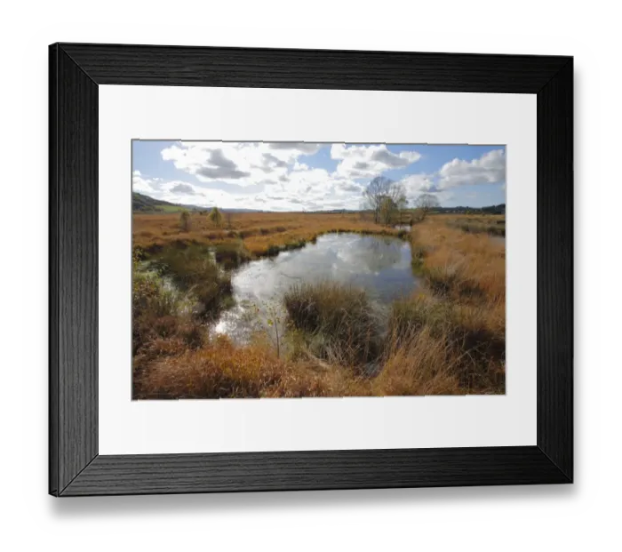 Framed Print : Raised bog habitat and old flooded peat diggings, Cors Caron, Ceredigion, Wales, october Framed Print : Raised bog habitat and old flooded peat diggings, Cors Caron, Ceredigion, Wales, october