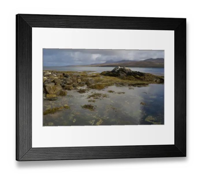 Framed Print : View of rocks and seaweed in coastal strait, Islay Sound, Islay, Inner Hebrides, Scotland, september Framed Print : View of rocks and seaweed in coastal strait, Islay Sound, Islay, Inner Hebrides, Scotland, september